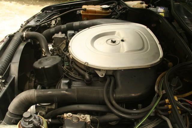 The M117 engine has been around with Mercedes from 19691991 MercedesBenz 