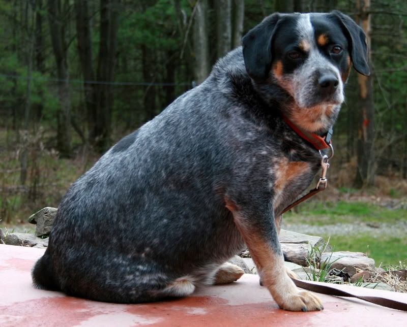 IMAGE: http://i81.photobucket.com/albums/j203/WherzRoony/Flash1.jpg