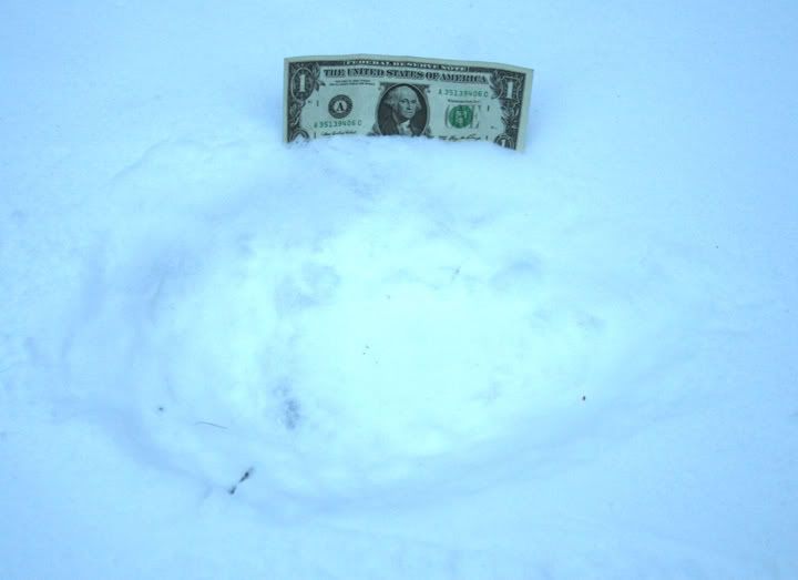 IMAGE: http://i81.photobucket.com/albums/j203/WherzRoony/bigbear.jpg