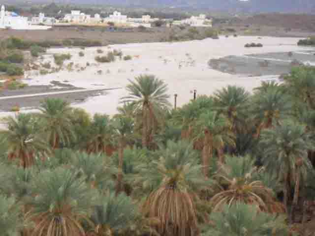 a04.jpg