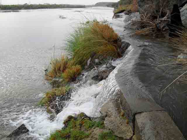 a06.jpg
