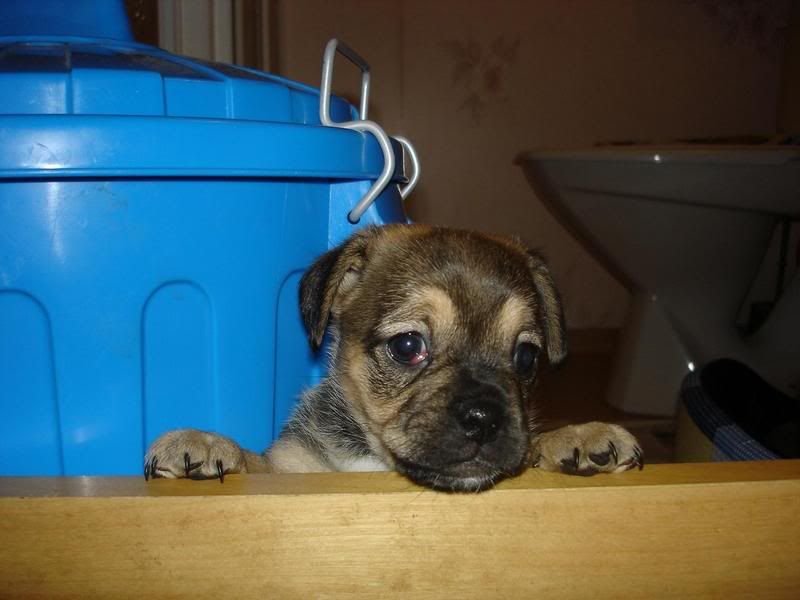 Bild330.jpg