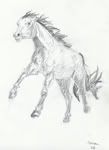 Horse
