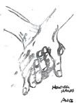 Hands
