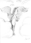 Pegasus