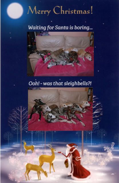 ChristmasCard2012.jpg