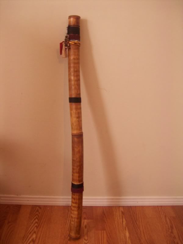 Forum Image: http://i81.photobucket.com/albums/j205/nekohime1378/menagerie/104_0156.jpg