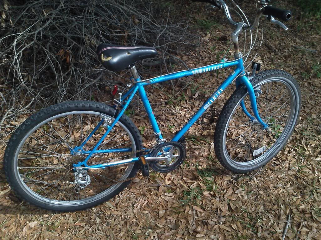1991 schwinn woodlands