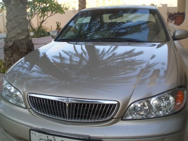 Picture013.jpg
