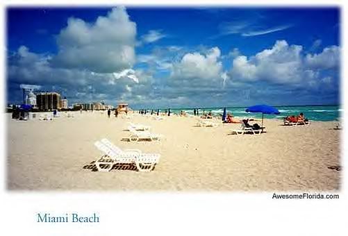 Miami Beach Pictures, Images and Photos