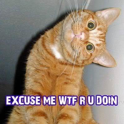 WTF.jpg?t=1242100952