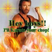 chucknorrisgay2.jpg