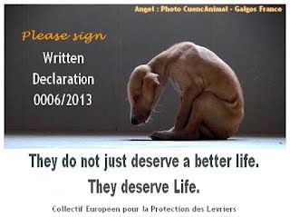 photo GreyhoundWrittenDeclarationpic_zps2307b242.jpg
