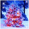 011206-1.gif