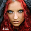 annew1.gif