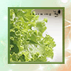 green3.gif