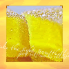 yellow2.gif