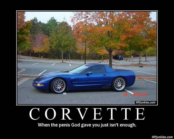 http://i81.photobucket.com/albums/j212/CamaroSpike23/Motivation/corvette_154.jpg