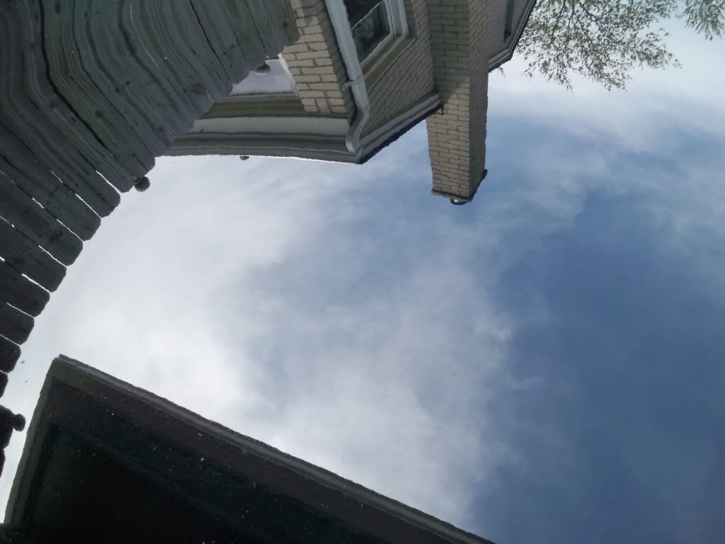 100_0502.jpg