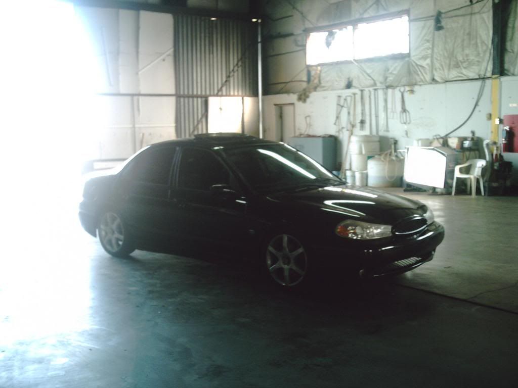 PICT0083.jpg