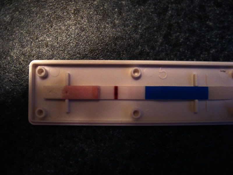 Clomid With Injectibles