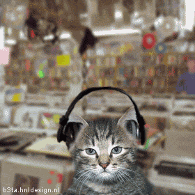 เมื่อแมวฟังเพลง...จะเป็นอย่างที่เห็นแหละค
