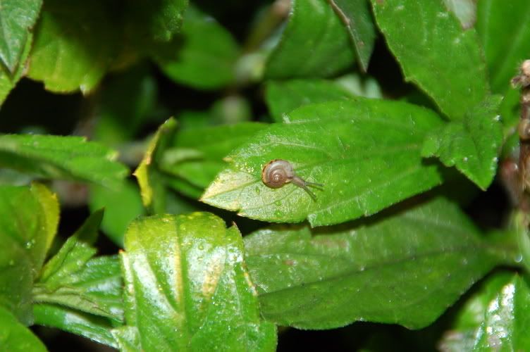 Image hosting by Photobucket