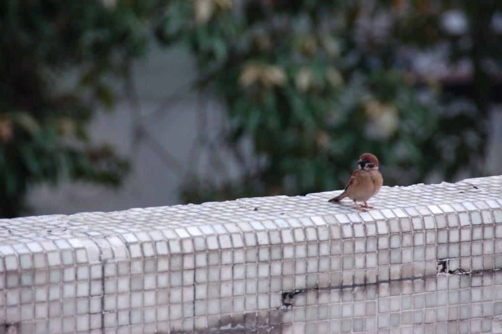 Image hosting by Photobucket