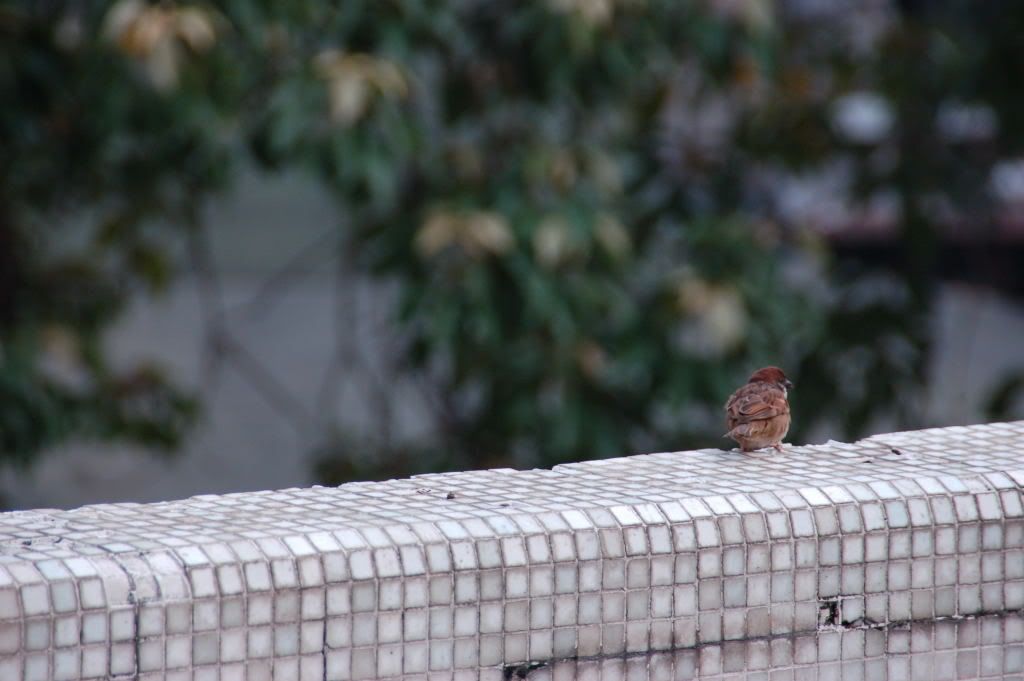 Image hosting by Photobucket