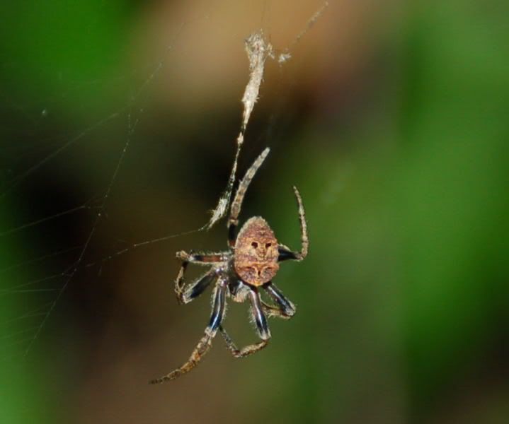 Image hosting by Photobucket