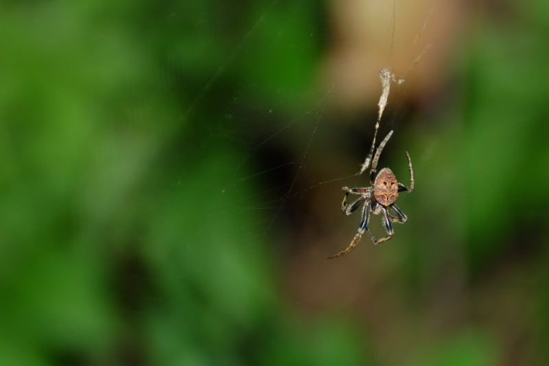 Image hosting by Photobucket