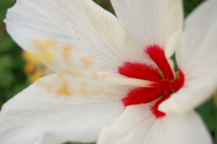 Image hosting by Photobucket