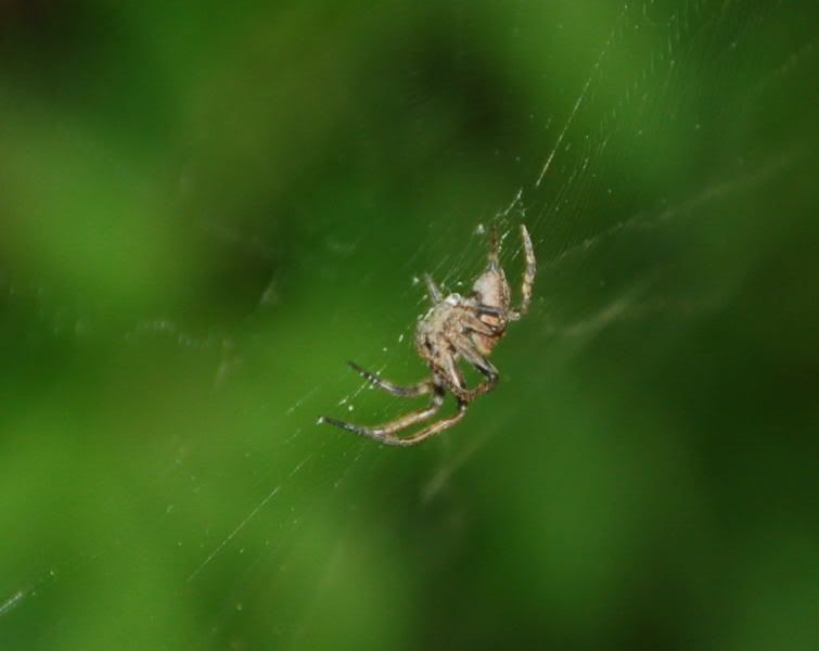 Image hosting by Photobucket