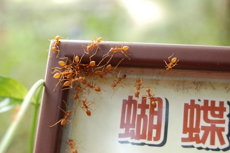 Image hosting by Photobucket