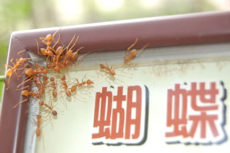 Image hosting by Photobucket