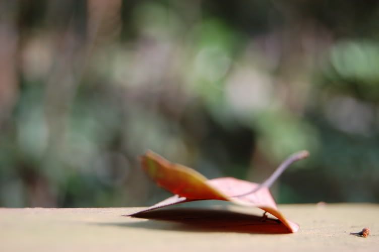 Image hosting by Photobucket