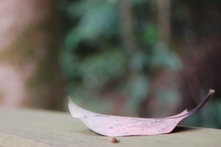 Image hosting by Photobucket