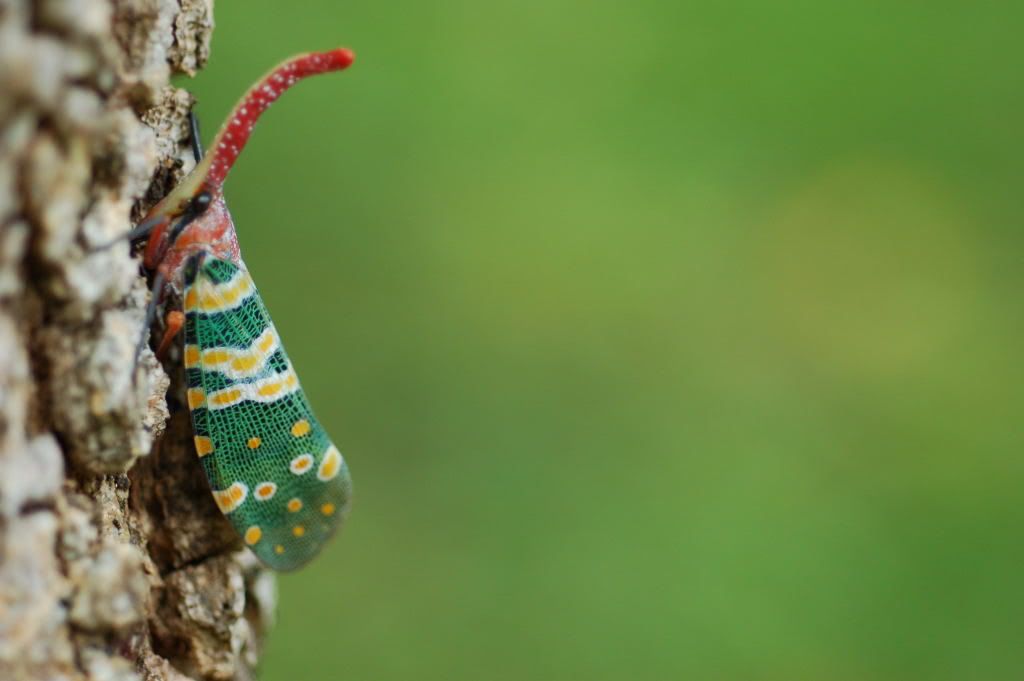 Image hosting by Photobucket