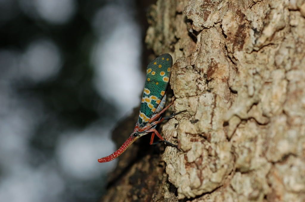 Image hosting by Photobucket