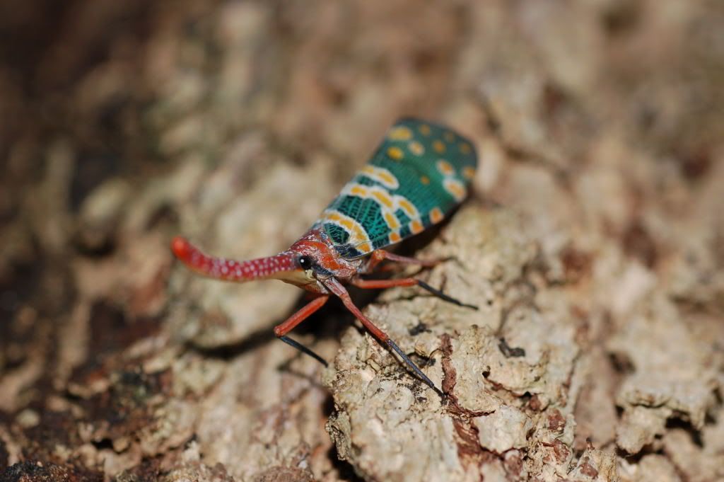 Image hosting by Photobucket