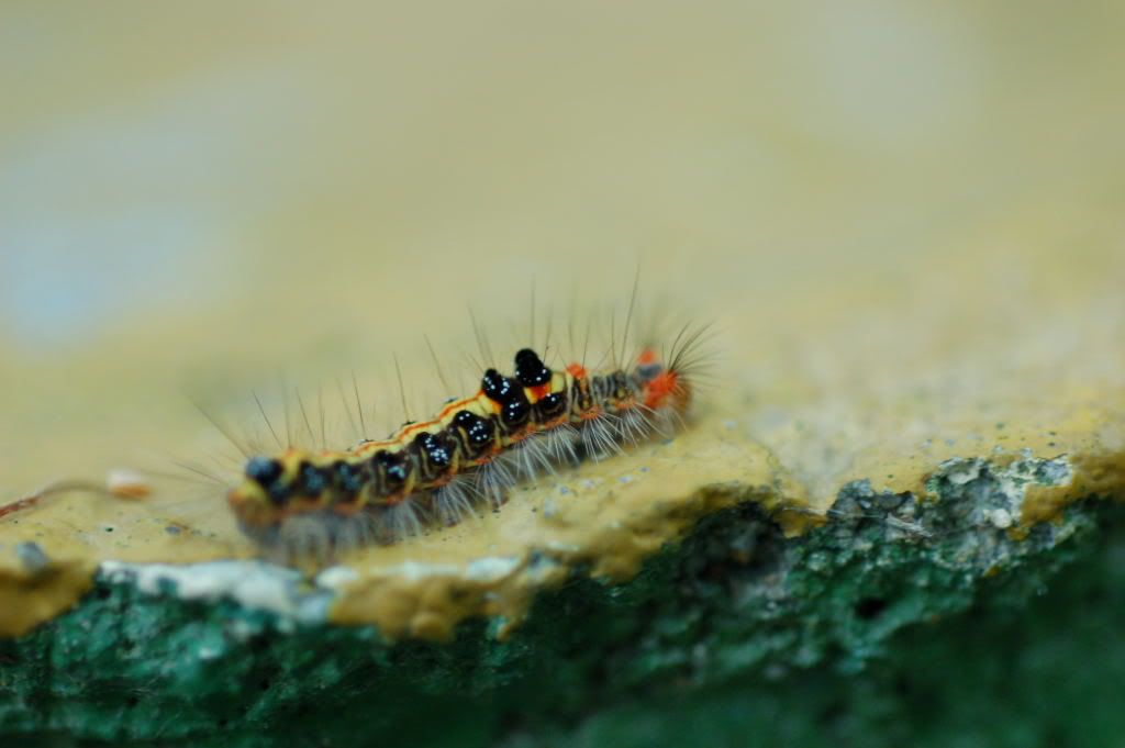 Image hosting by Photobucket