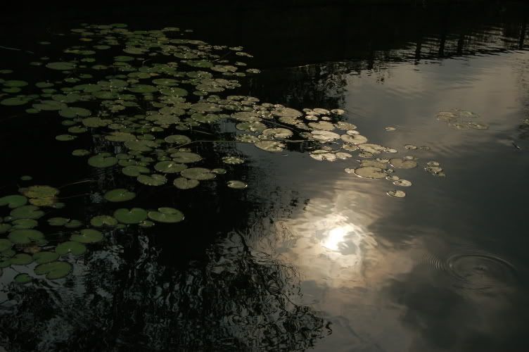 Image hosting by Photobucket