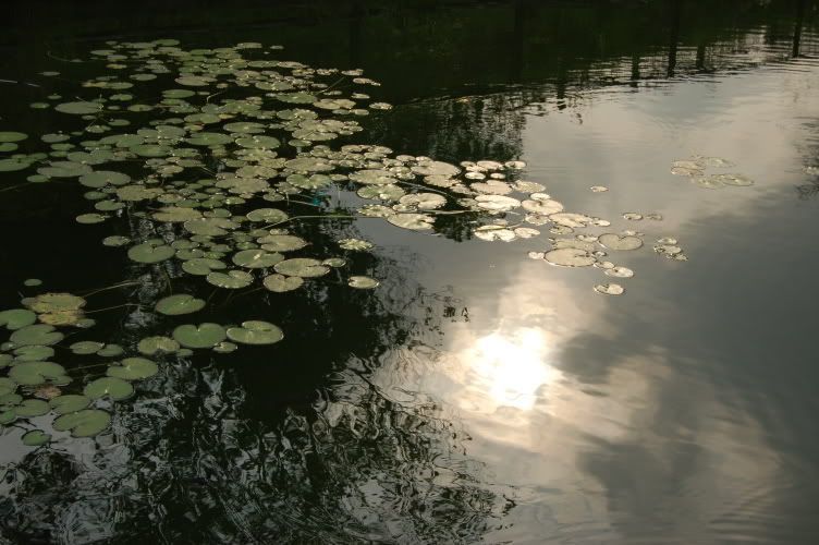 Image hosting by Photobucket