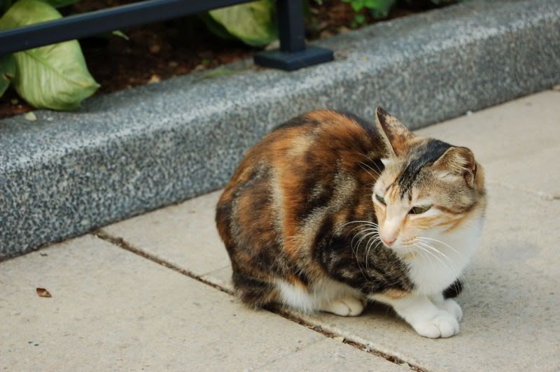 Image hosting by Photobucket