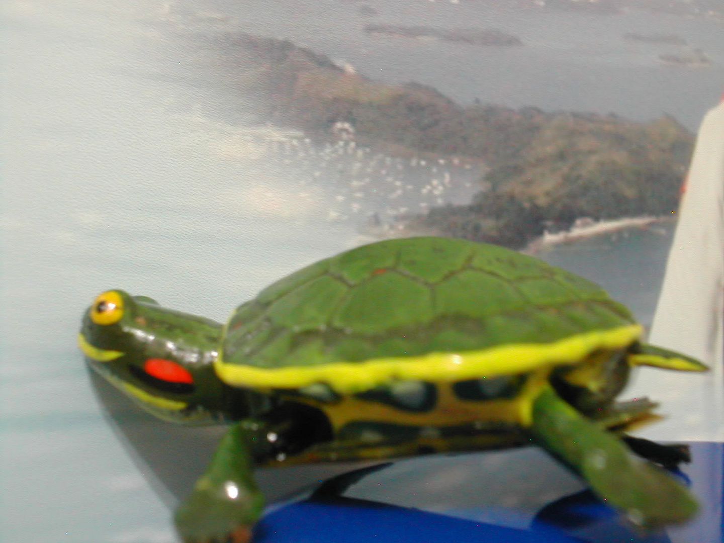 Image hosting by Photobucket