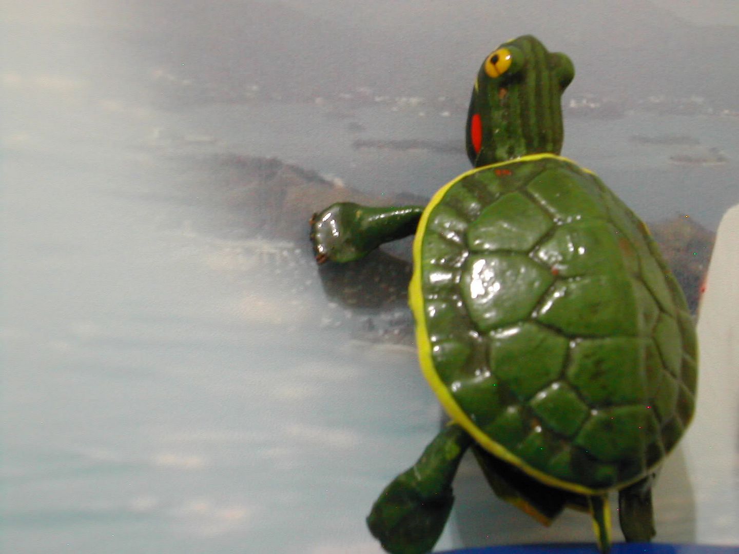 Image hosting by Photobucket