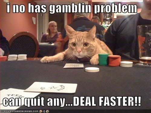 Cat-CatAtPokerTableIDontHaveAGambli.jpg