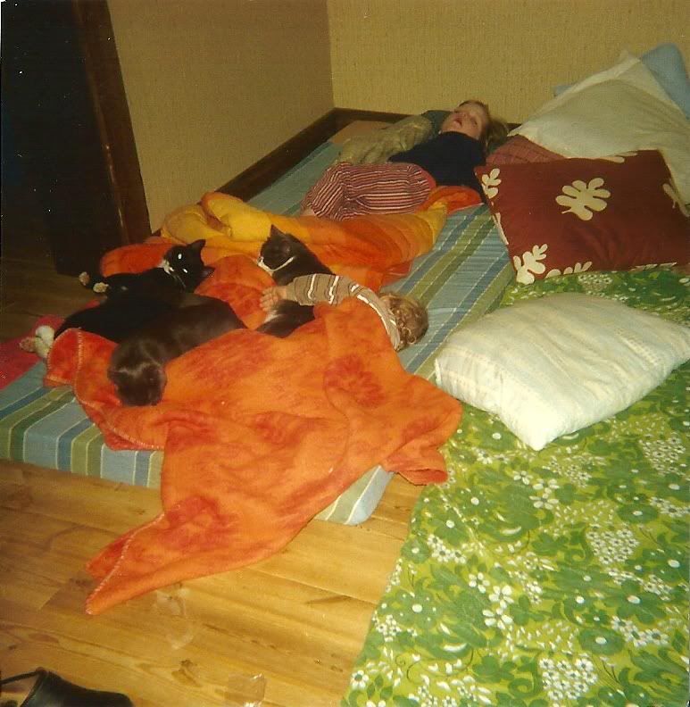kissemisse1.jpg