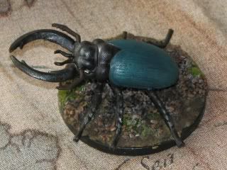 beetle1.jpg