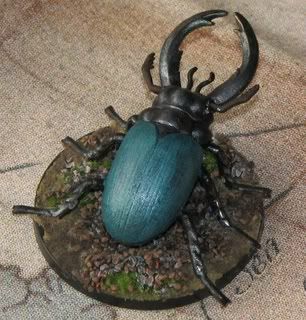 beetle2.jpg